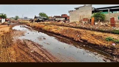 Releasing cow dung on roads and into drainage has been a common sight by dairy unit owners in Ludhiana. (Manish/HT)