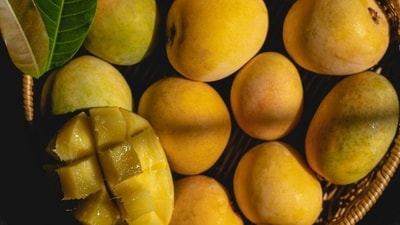 Mango Mango