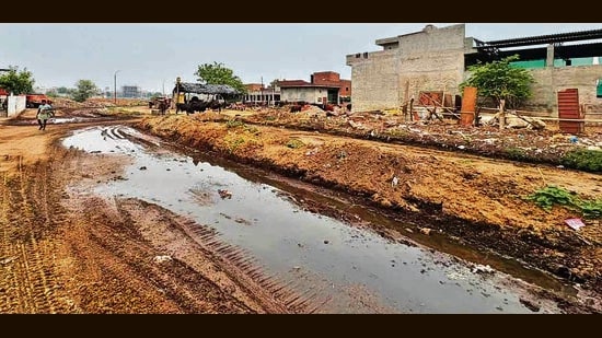 Releasing cow dung on roads and into drainage has been a common sight by dairy unit owners in Ludhiana. (Manish/HT)
