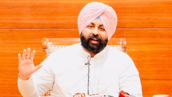 Education reforms and structured support contributed to this success, indicating significant advancements in public education in Punjab despite challenges from a re-examination process.