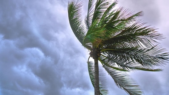 Tropical storm Bertha watches and warnings are in effect from Florida to Louisiana, indicating potential worsening conditions.