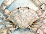 Cancer Horoscope Today: Read our expert astrological predictions to find out what the stars have in store for you.
