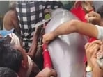 Endangered aquatic mammal transported in a specially designed rescue ambulance with controlled water conditions to minimise stress during transit. (Sourced)