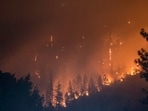 A vegetation fire called the Zacharias Fire broke out near Patterson, California. Image for representational purposes.