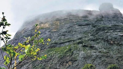 Youth dies after falling into gorge in Naneghat Youth dies after falling into gorge in Naneghat
