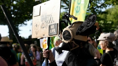 Most leftists in the lower house this week voted against the reintroduction of the two pesticides. (AFP) Most leftists in the lower house this week voted against the reintroduction of the two pesticides. (AFP)