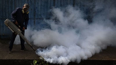 Dengue is endemic to several south and southeast Asian countries. (AFP/Representative image) Dengue is endemic to several south and southeast Asian countries. (AFP/Representative image)