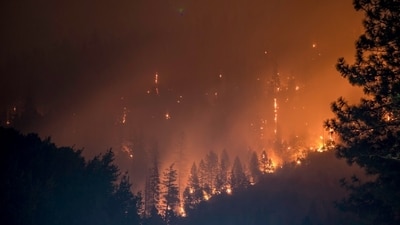 A vegetation fire known as the Zacharias Fire broke out near Paterson, California. Images used for representational purposes. (no splash) A vegetation fire known as the Zacharias Fire broke out near Paterson, California. Images used for representational purposes. (no splash)