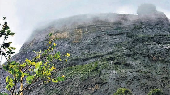Youth dies after falling into gorge in Naneghat