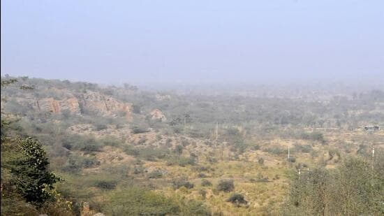 The panel will submit a detailed report on the Aravalli hills and ranges, covering all its issues, including its definition, by August 31. (HT Archive)