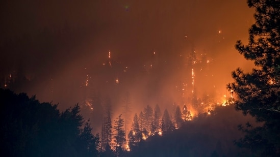 A vegetation fire called the Zacharias Fire broke out near Patterson, California. Image for representational purposes.