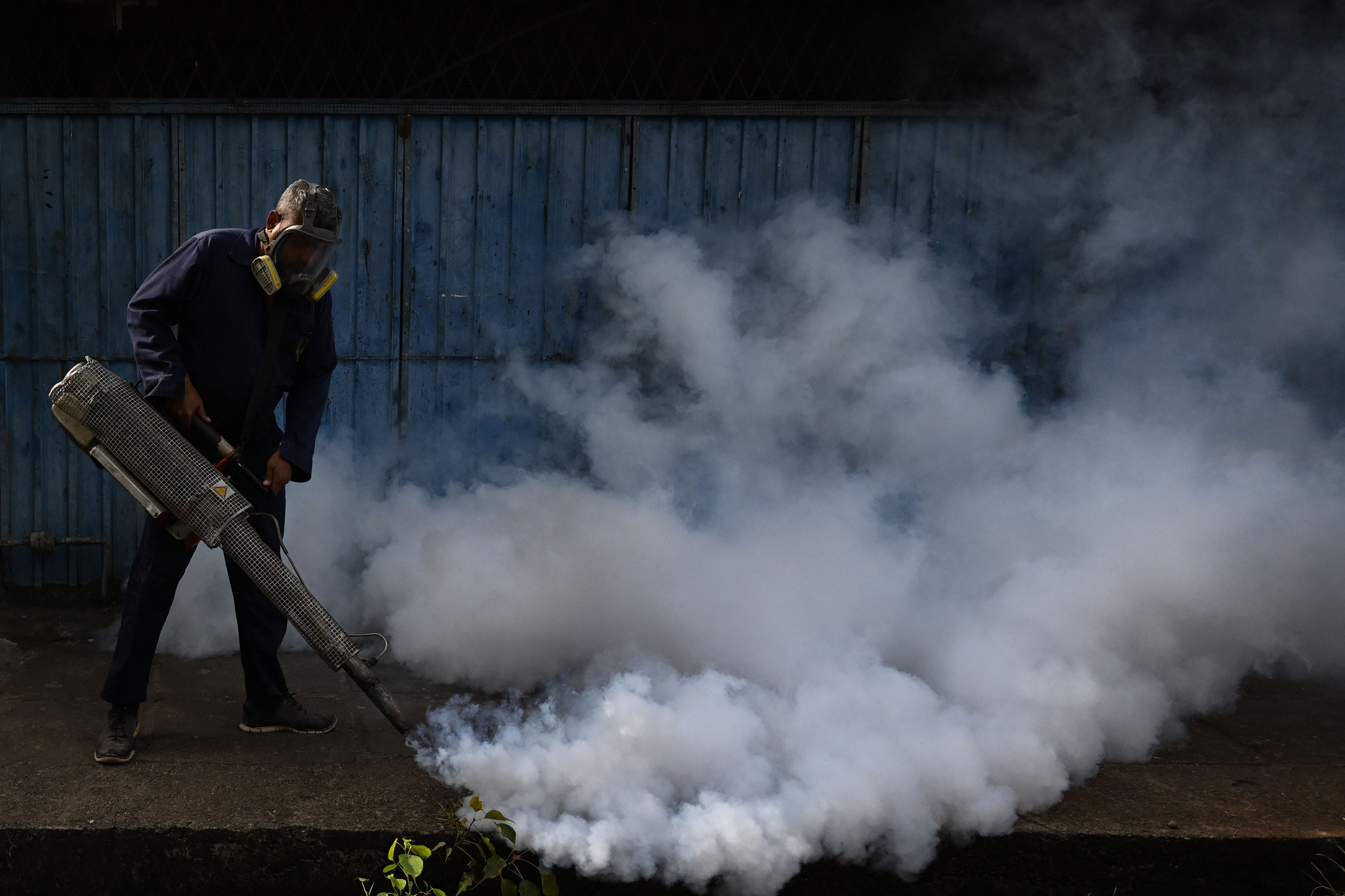 Working at the community level to control mosquitoes is also essential to eliminate mosquito breeding. (AFP/Representative image)