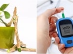 Dr Gagandeep Singh explains the science behind the popular herbal remedy.