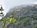Youth dies after falling into gorge in Naneghat