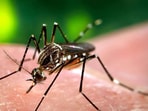 QDENGA vaccine offers hope against Dengue, yet precautions remain essential. 