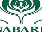 NABARD’s livelihood promotion programmes have equally focused on women. (HT Photo for representation)
