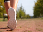 Five Skechers walking shoes lined up for everyday use, offering comfort, cushioning and fit options for commuters and fitness walkers alike.