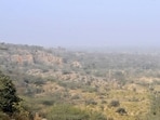 The panel will submit a detailed report on the Aravalli hills and ranges, covering all its issues, including its definition, by August 31. (HT Archive)