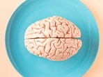 Brain