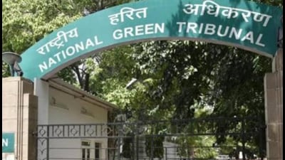 ‘Safeguards in place’: Haryana defends sand mining project before NGT