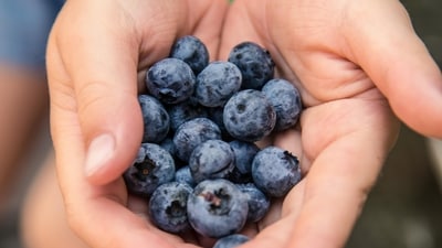 Berries are rich in antioxidants, making them a great brain food. (Picture credit: Freepik) Berries are rich in antioxidants, making them a great brain food. (Picture credit: Freepik)