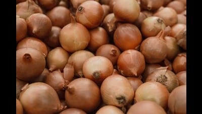 These prices are much lower than what farmer groups say it costs to produce onions. (Representational image/pixels)