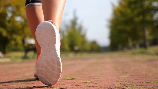 Five Skechers walking shoes lined up for everyday use, offering comfort, cushioning and fit options for commuters and fitness walkers alike.