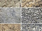 Scientists say documenting lichen diversity can help identify ecologically sensitive areas. (HT)