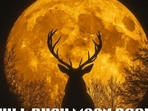 July Full Moon 2026
(Freepik)