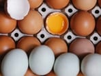 Midwest Poultry Services recalls 1.6 million eggs over possible Salmonella contamination. (Pexel/Representative image)
