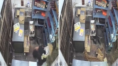 Snippets from a video showing a leopard attacking a man. (Screengrab (X)) Snippets from a video showing a leopard attacking a man. (Screengrab (X))