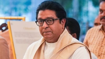 The MNS chief stated that anyone trying to disrupt the peaceful protest on Sunday 
