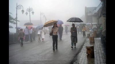 People cover themselves with umbrellas amid rainfall, in Shimla on Thursday. (ANI) People cover themselves with umbrellas amid rainfall, in Shimla on Thursday. (ANI)