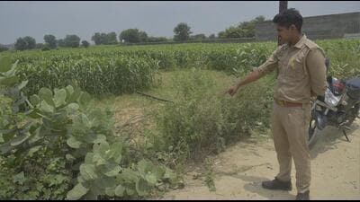 Police received information from local residents around 9am and rushed a team to the spot. Officials said the body was found in a field about 40-50 metres from the road. (Sakib Ali/HT Photo) Police received information from local residents around 9am and rushed a team to the spot. Officials said the body was found in a field about 40-50 metres from the road. (Sakib Ali/HT Photo)