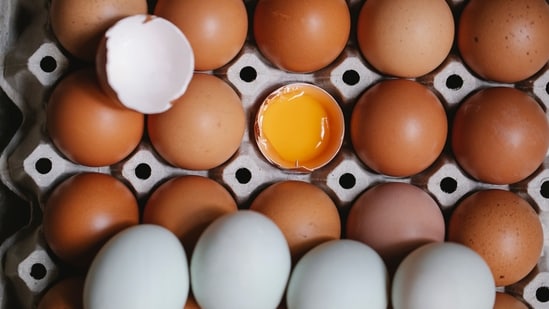 Midwest Poultry Services recalls 1.6 million eggs over possible Salmonella contamination. (Pexel/Representative image)