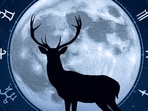 Read what should zodiac signs release under July Full Moon