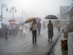 People cover themselves with umbrellas amid rainfall, in Shimla on Thursday. (ANI)