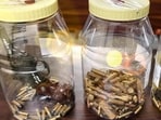 The pistols and cartridges seized by police. (HT)