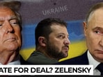 Zelensky’s last chance 'before autumn'? Ukraine bets on Trump-Putin trilateral breakthrough