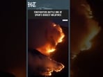 Spain Battles One Of Its Biggest Wildfires As Firefighters Race To Contain Massive Blaze