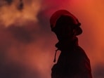Firefighters are reportedly making good progress with the Teddy Fire in Oakhurst, California. Image for representational purposes.