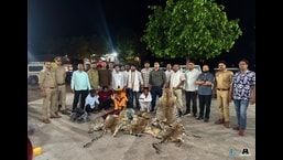Four arrested after 10 leopard skins seized on Agra-Gwalior road Four arrested after 10 leopard skins seized on Agra-Gwalior road