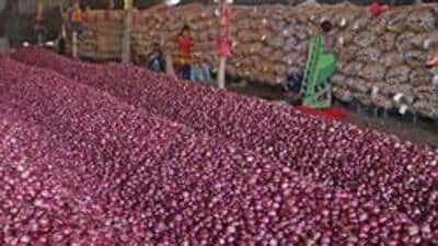 Department of Consumer Affairs has set July 31 deadline for central agencies NCCF and Nafed to complete procurement of two lakh metric tonnes of onions from farmers in Nashik. ((PIC FOR REPRESENTATION))