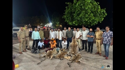 Forest department team with the seized leopard skins on the Agra-Gwalior highway. (Sourced) Forest department team with the seized leopard skins on the Agra-Gwalior highway. (Sourced)