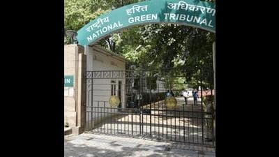 The Punjab forest department has informed the National Green Tribunal (NGT) that it has recovered ₹10.99 lakh as environmental compensation from contractor and other violators for the illegal felling of 113 trees, damage to forest land and the unauthorised installation of a concrete batching plant during the Sirhind Canal lining project in Ludhiana district. (HT File) The Punjab forest department has informed the National Green Tribunal (NGT) that it has recovered ₹10.99 lakh as environmental compensation from contractor and other violators for the illegal felling of 113 trees, damage to forest land and the unauthorised installation of a concrete batching plant during the Sirhind Canal lining project in Ludhiana district. (HT File)