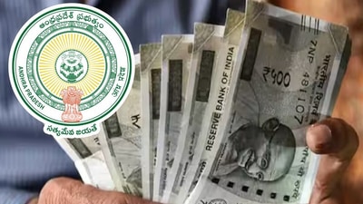 పెన్షన్లపై ఏపీ సర్కార్ కీలక నిర్ణయం పెన్షన్లపై ఏపీ సర్కార్ కీలక నిర్ణయం