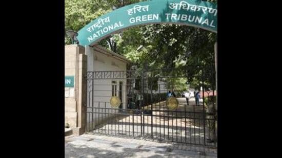 The Punjab forest department has informed the National Green Tribunal (NGT) that it has recovered <span class='webrupee'>₹</span>10.99 lakh as environmental compensation from contractor and other violators for the illegal felling of 113 trees, damage to forest land and the unauthorised installation of a concrete batching plant during the Sirhind Canal lining project in Ludhiana district. (HT File)