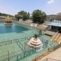 తిరుమల శ్రీవారి పుష్కరిణి