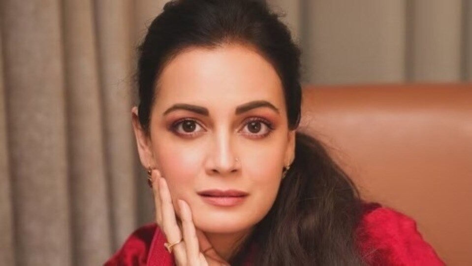 প্রধানমন্ত্রীকে নিশানা দিয়া মির্জার