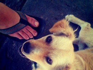 The first-ever Instagram post, a dog in Mexico, was posted by the platform’s co-founder, Kevin Systrom; 2010. The first-ever Instagram post, a dog in Mexico, was posted by the platform’s co-founder, Kevin Systrom; 2010.